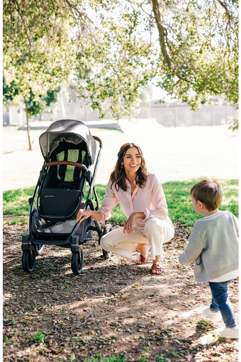 VISTA V3 Stroller, Alternate, color, ADA