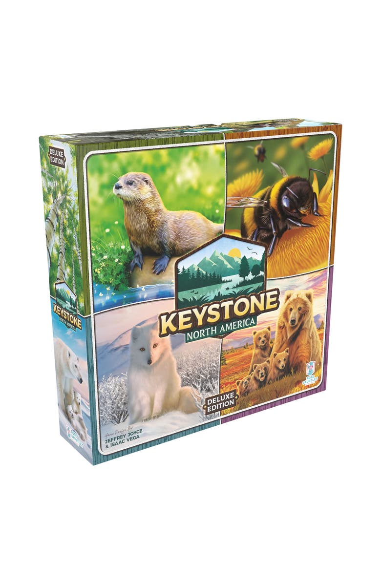 Rose Gauntlet Entertainment Keystone Deluxe Edition, Ages 10+, Main, color, Multicolored