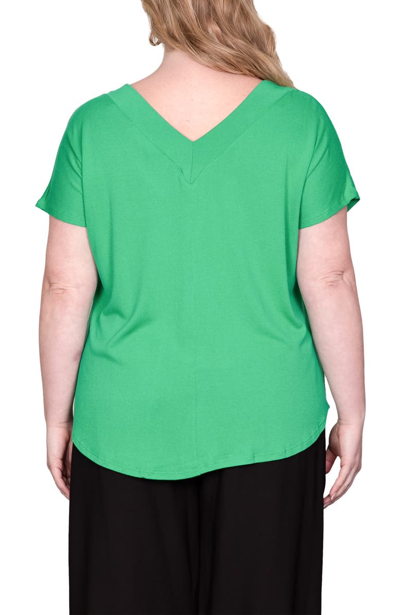 Standards & Practices V-Neck Top, Alternate, color, Green