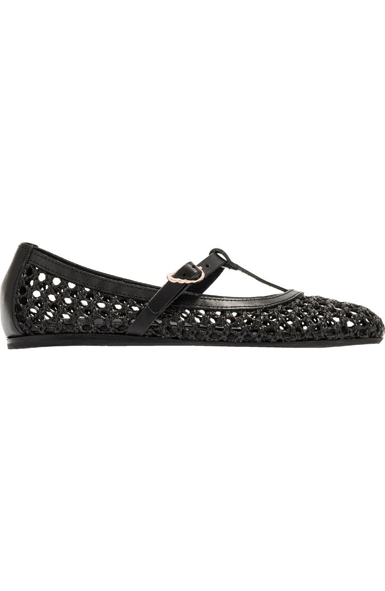 Ancient Greek Sandals Aerati T-Strap Raffia Flat, Alternate, color, Black