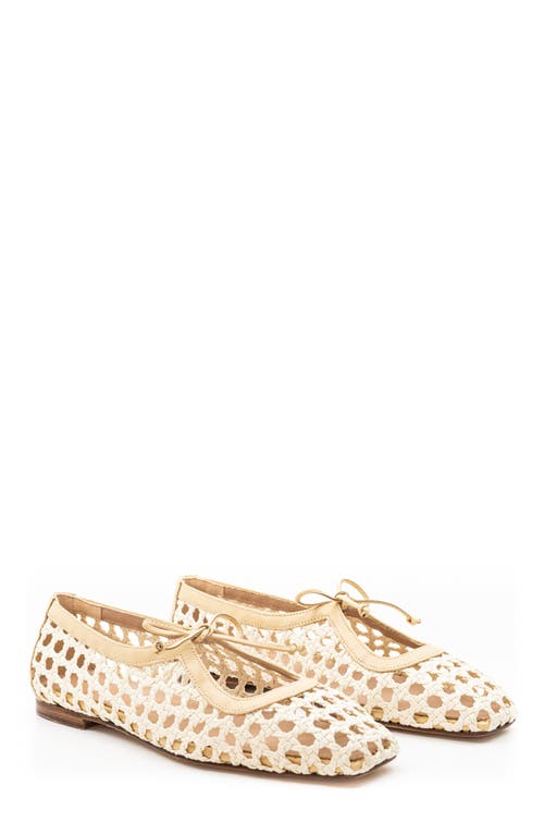 Andrea Gomez Amelia Leather Ballet Flats In Natural Raffia