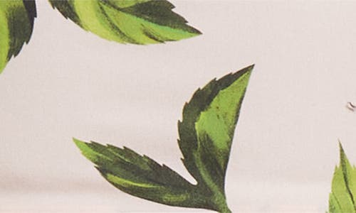 Oscar De La Renta English Rose Cotton Poplin Tiered Dress In Multi