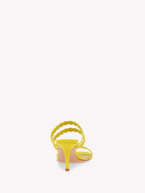 Gianvito Rossi Kai Sandals