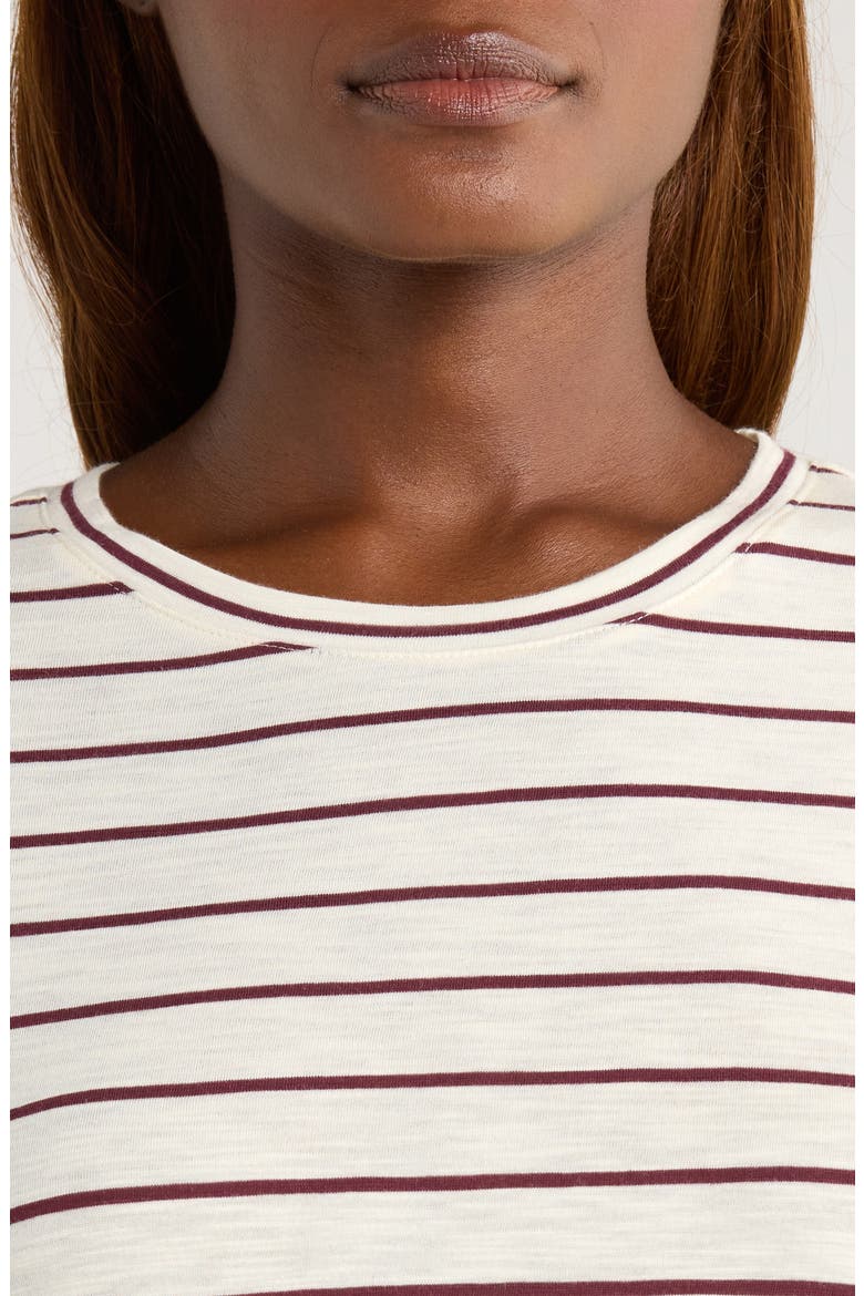 Stripe Crewneck Shirt, Alternate, color, WHITE/ FIG STRIPE